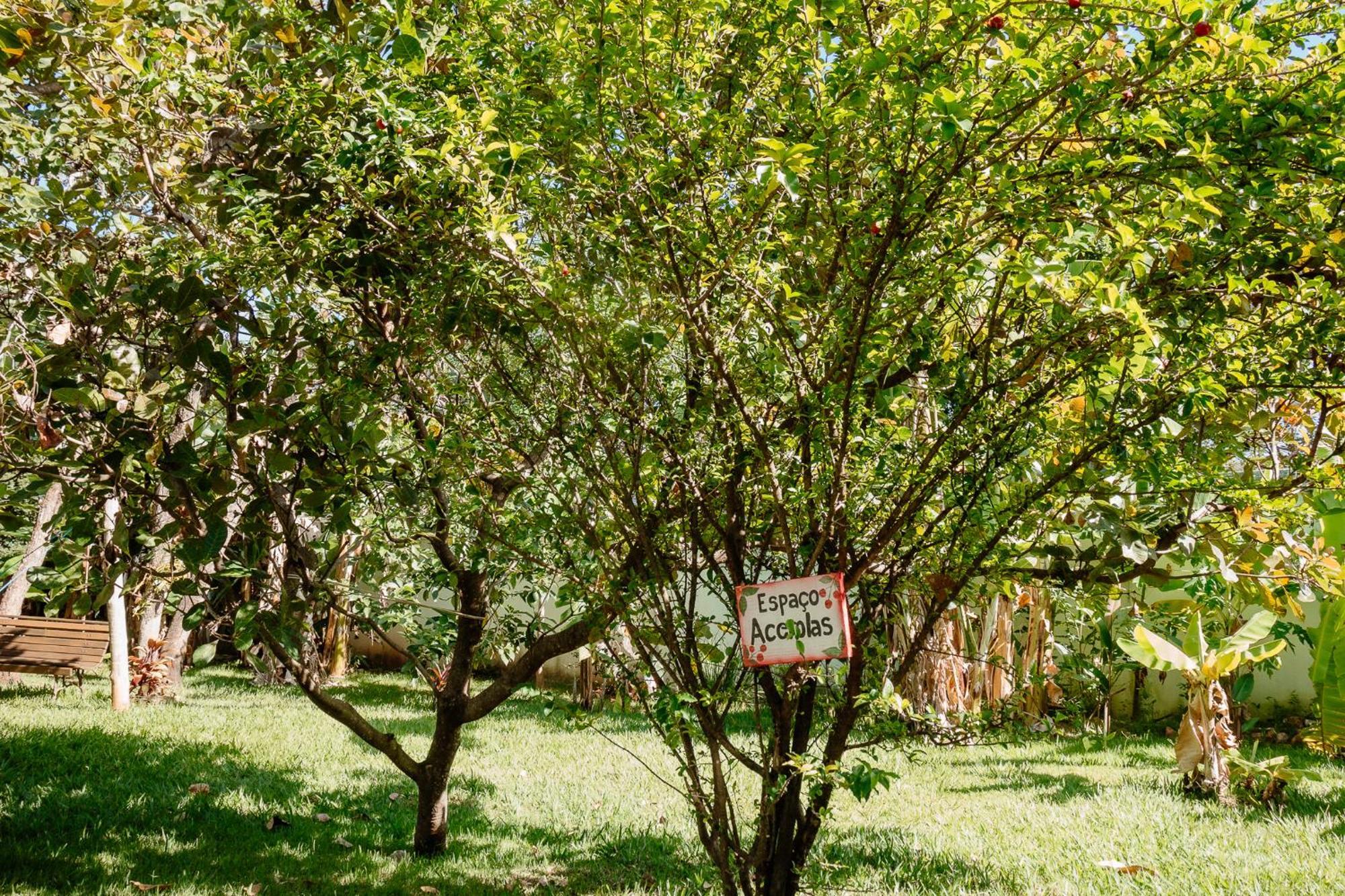 Pousada Adega Cipo Serra do Cipo National Park Екстериор снимка